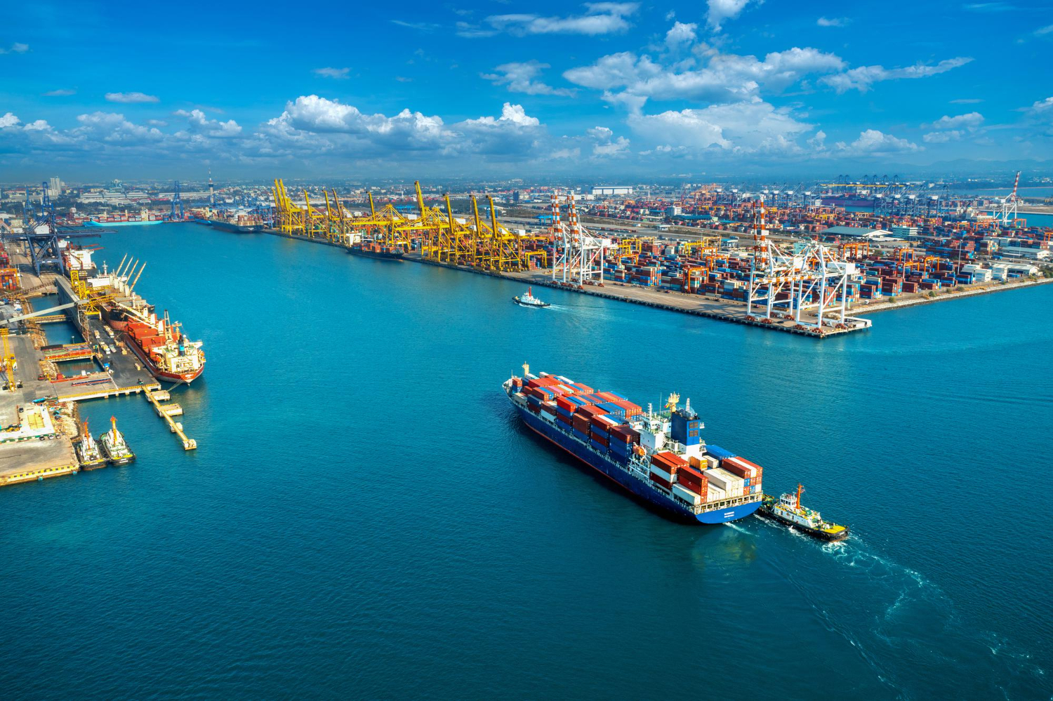 Comprehensive Logistics & Customs Solutions